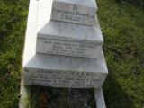 image of grave number 50795